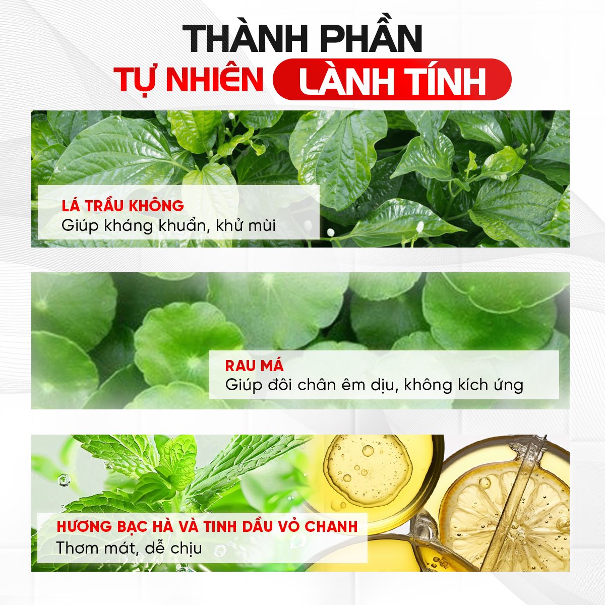XỊT KHỬ MÙI CHÂN RHYS COOL